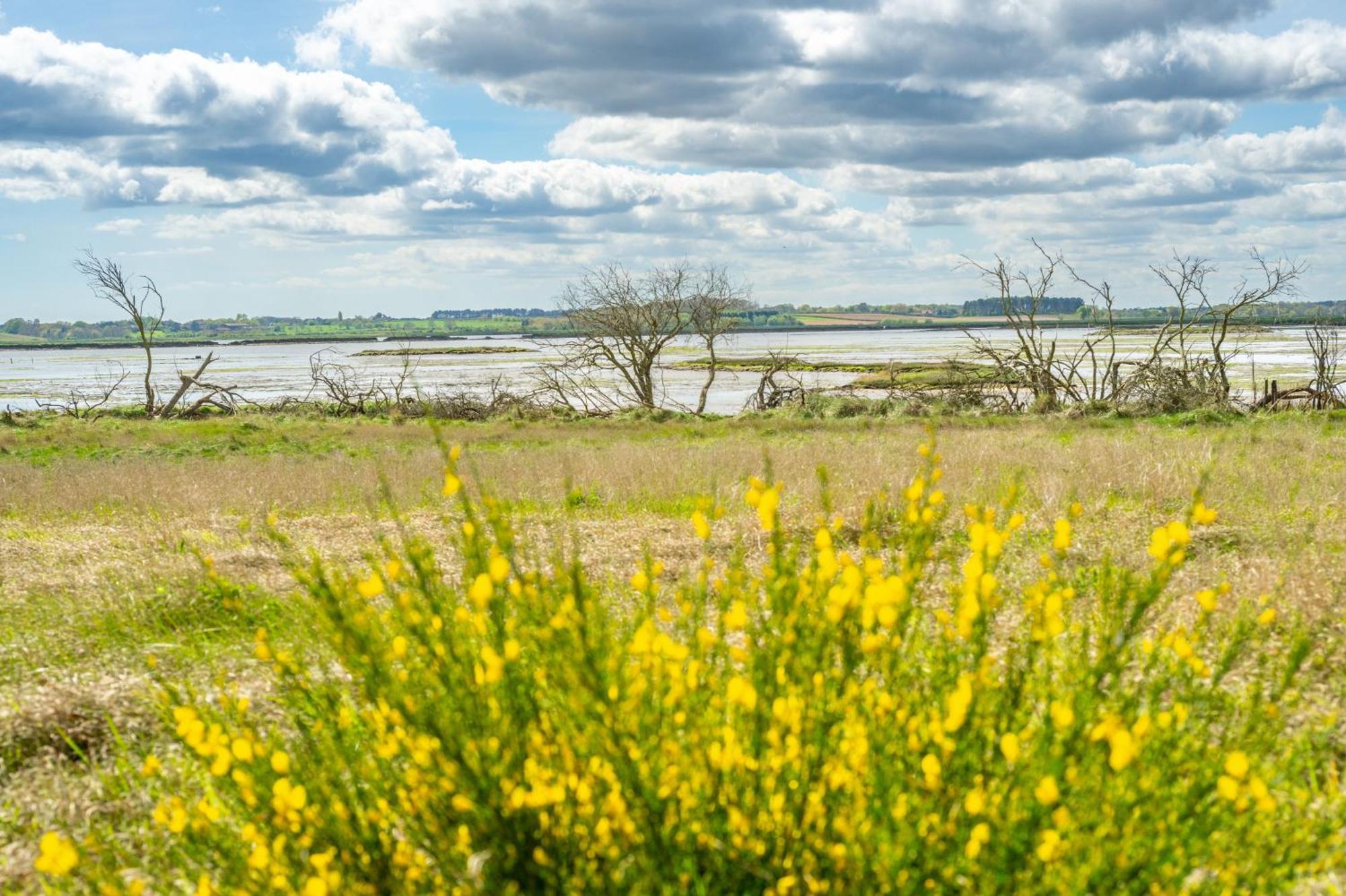 Marsh View Villa Aldeburgh Luaran gambar